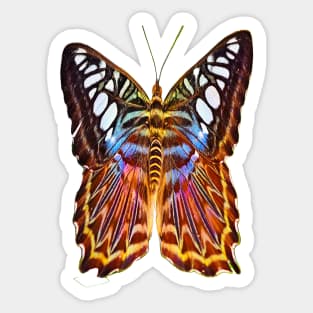 Colorful, decorative fantasy - butterfly Sticker